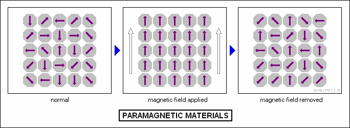 paramag.jpg