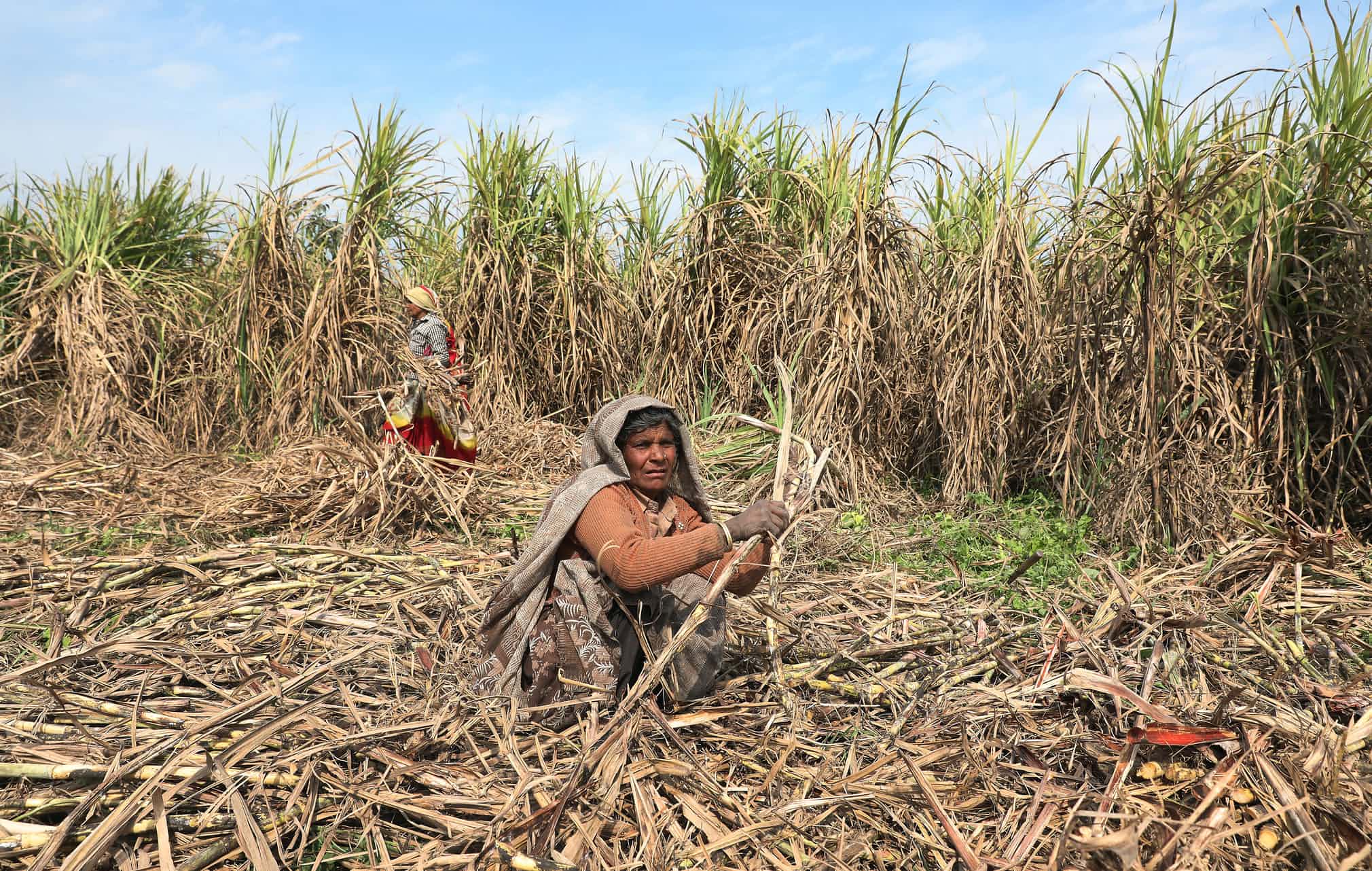 Meerut, India.jpg