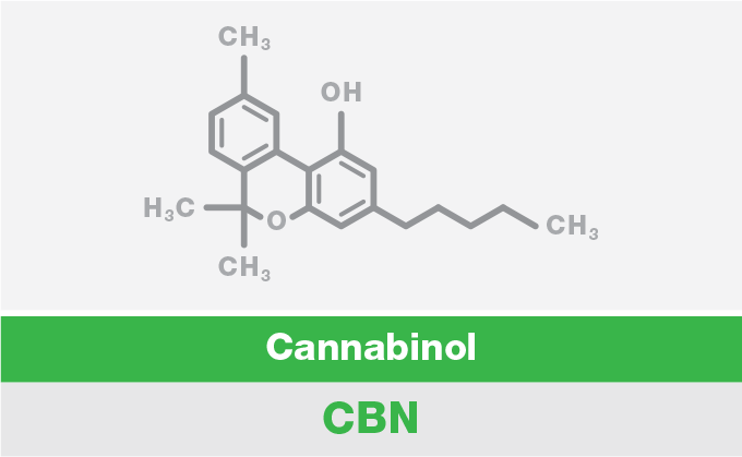 top-10-cannabinoids-and-what-they-do-cbn.png