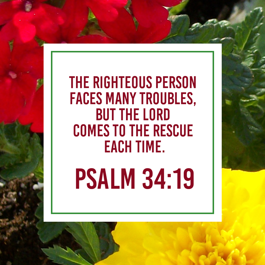 Psalm 34 19.png