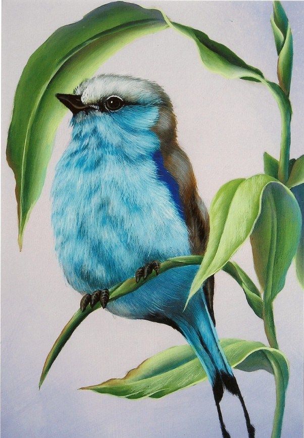 Bird Drawing Ideas: Creative Tips for Beginners - Artsydee - Drawing,  Painting, Craft & Creativity
