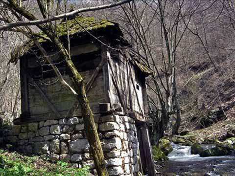 Savina-vodenica-sava-savanovic-21976730-480-360.jpg