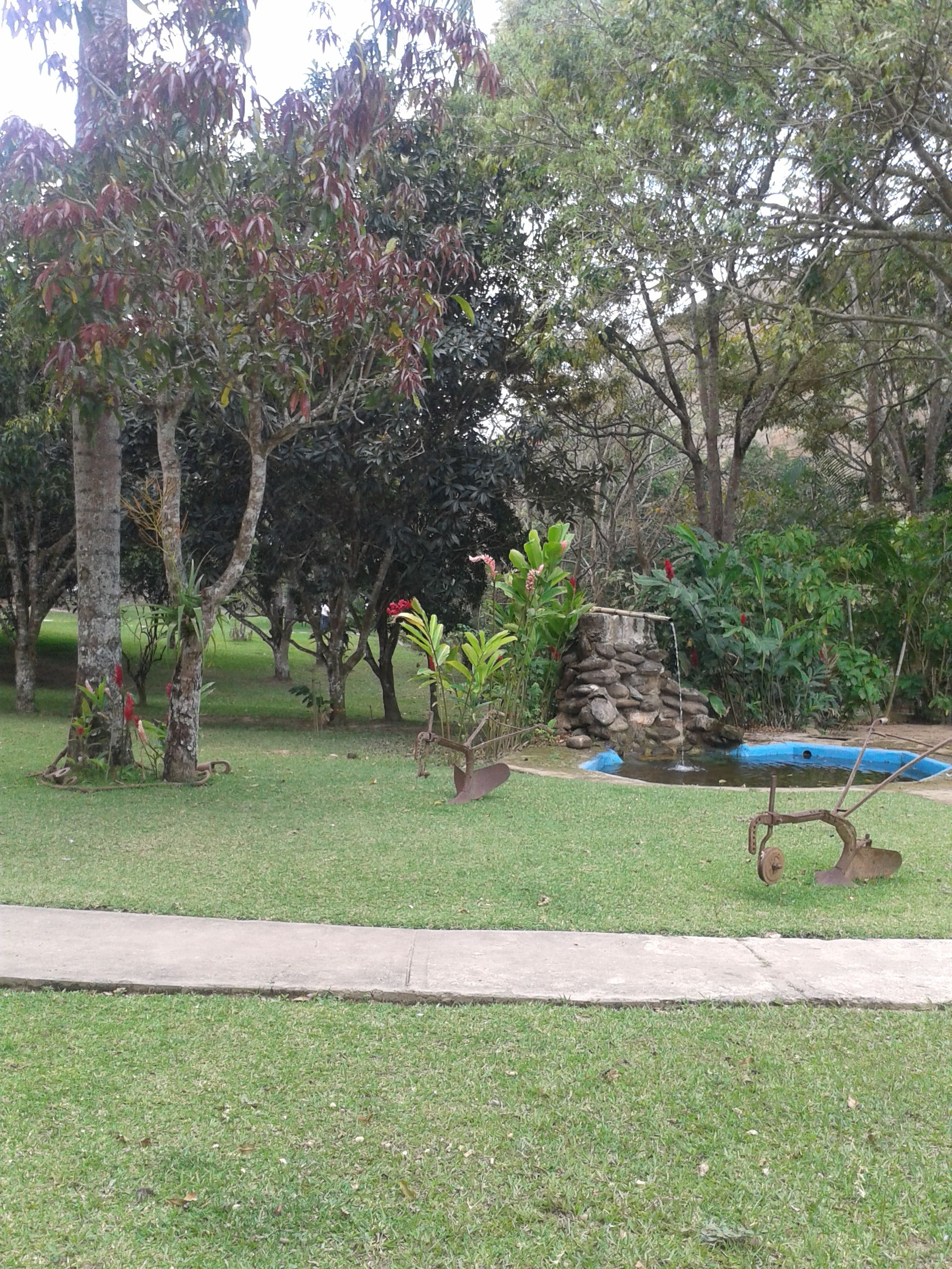 apublicado lunes2004.jpg