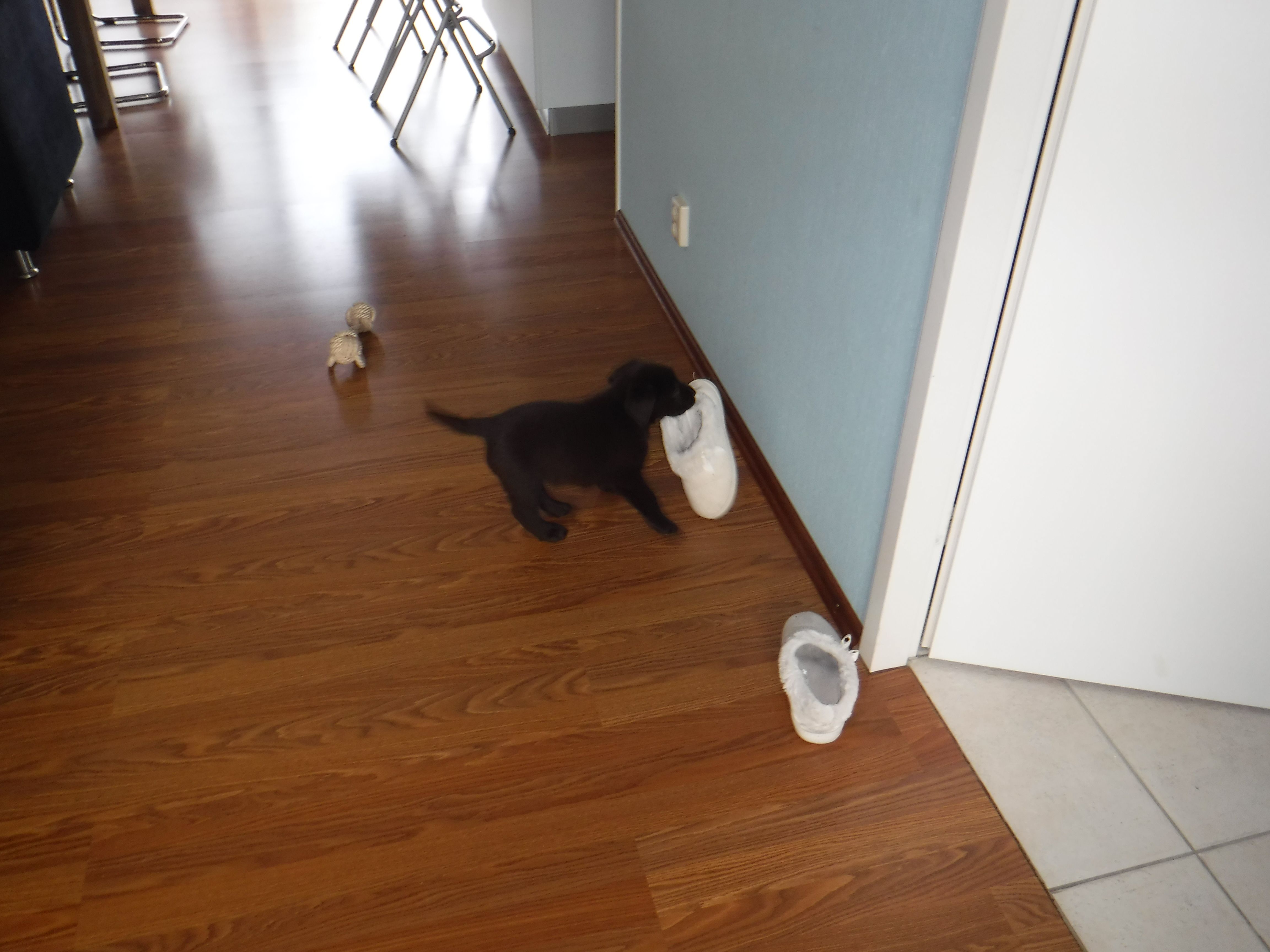 DSCF0037.JPG