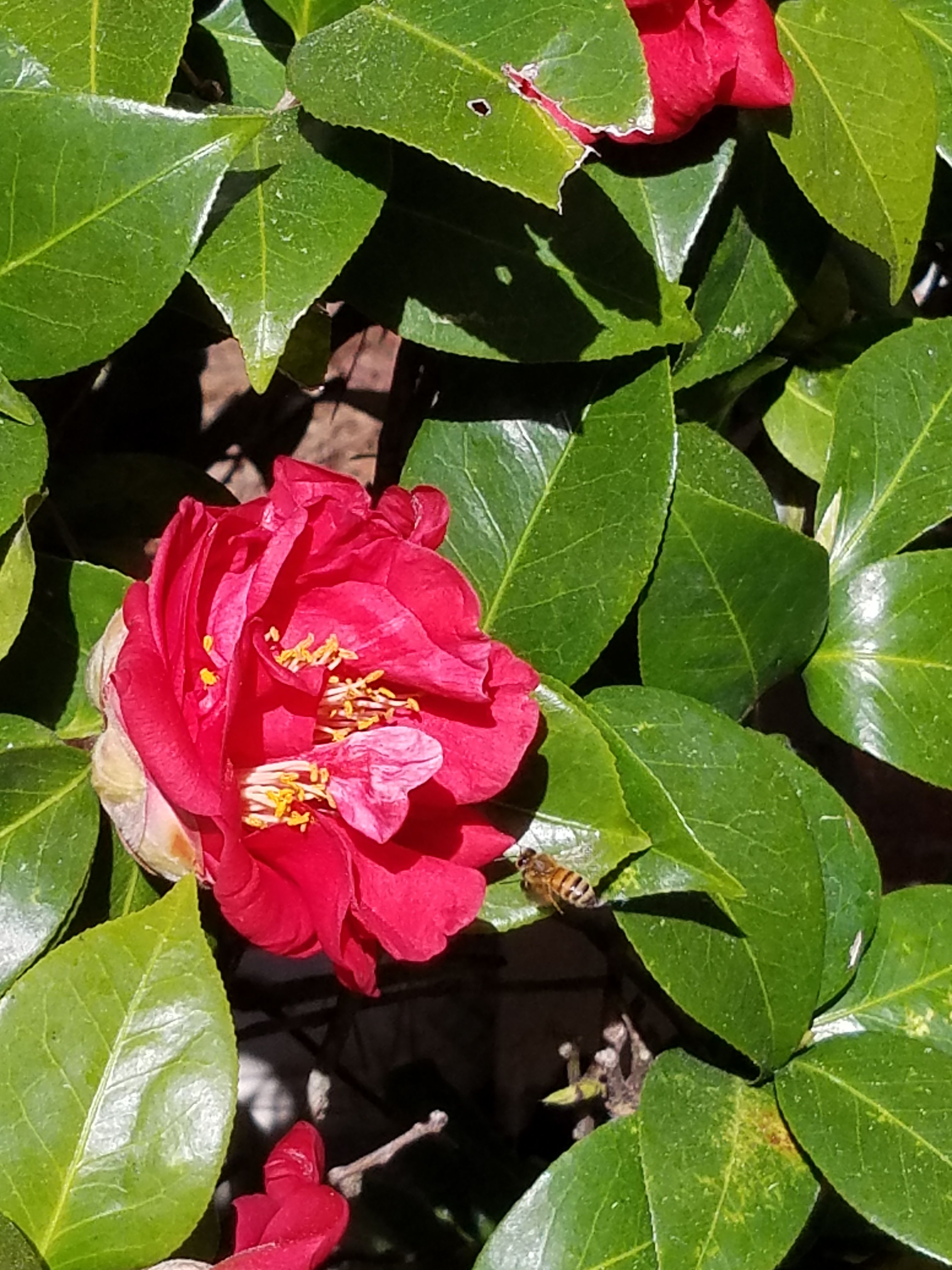 20180222_142234.jpg