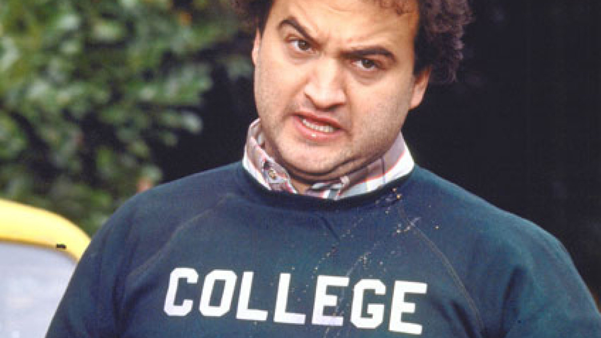 bluto.png