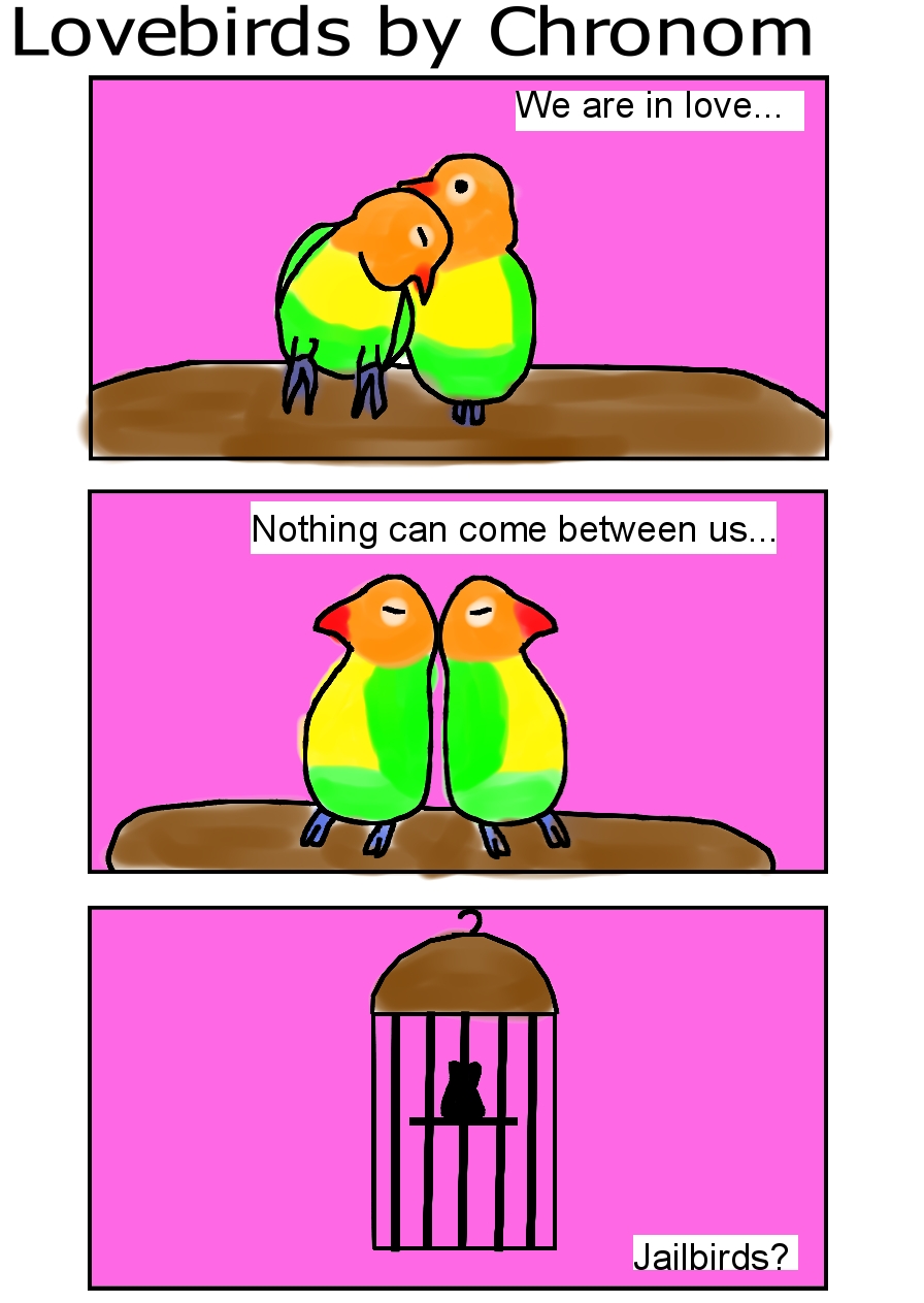 Lovebirds Contest.jpg