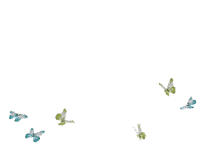 _____d62972003b0673288aa887aa6208a9a2.gif
