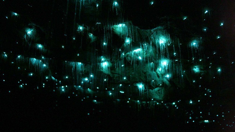 Glow-Worm-Cave-9.jpg