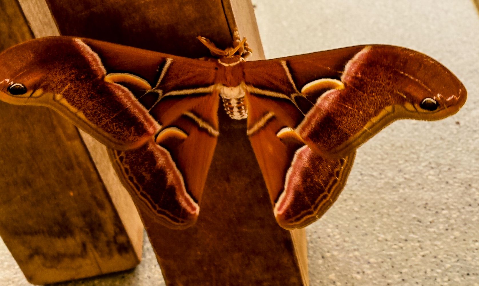 20150417_152119.jpg