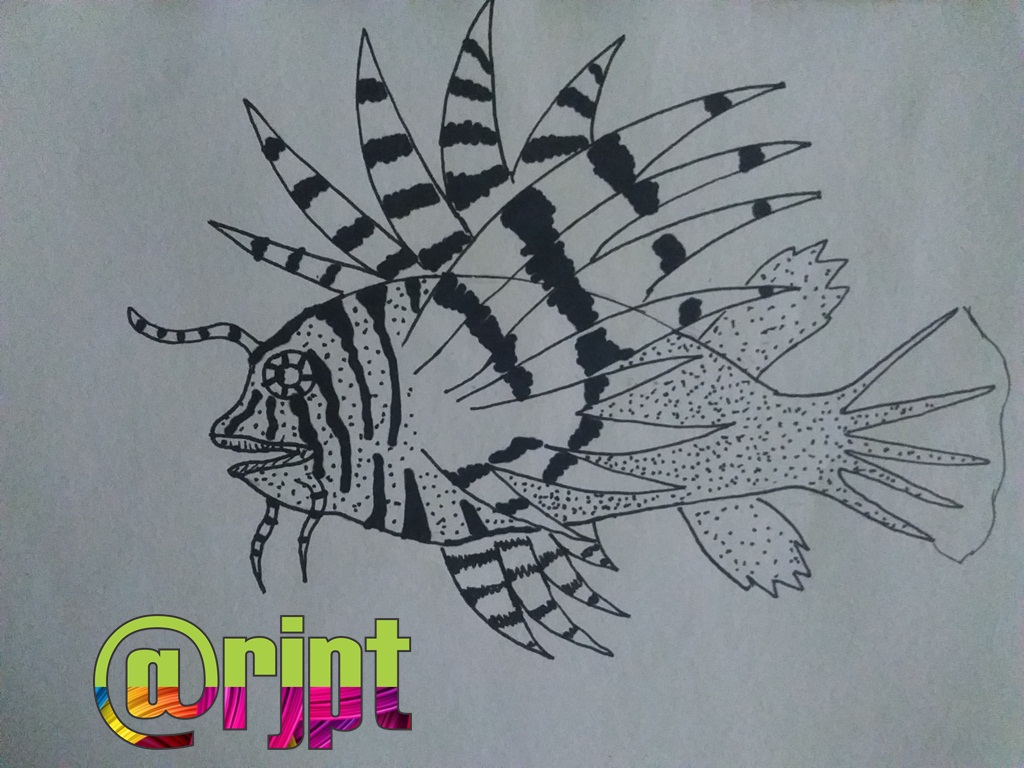 Dibujando un Pez León a tinta — Steemit Dibujando un Pez León a tinta — Steemit
