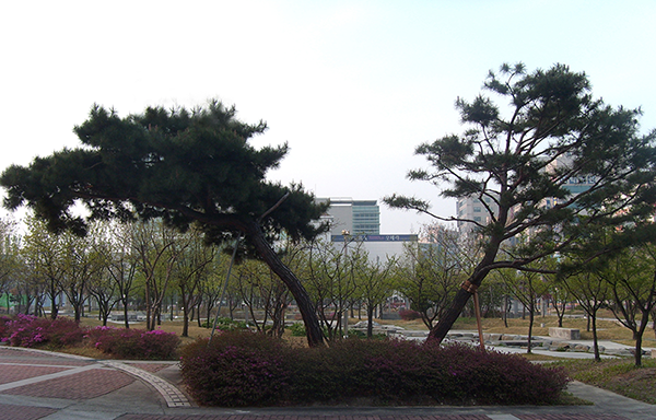 two_tree2.png