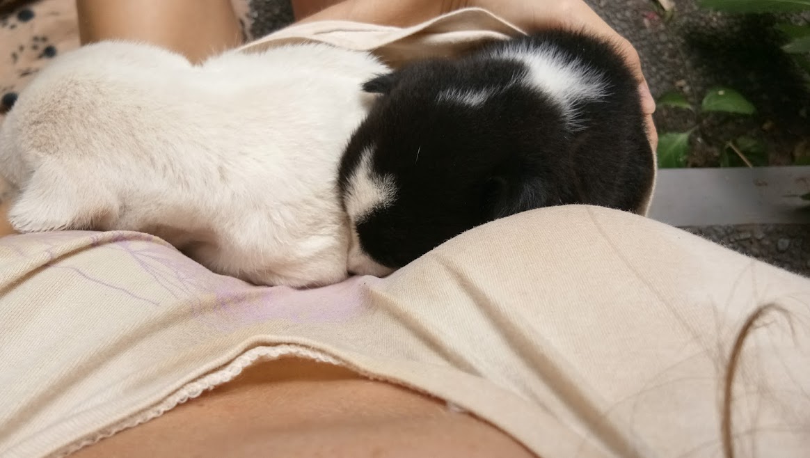 my babies.jpg