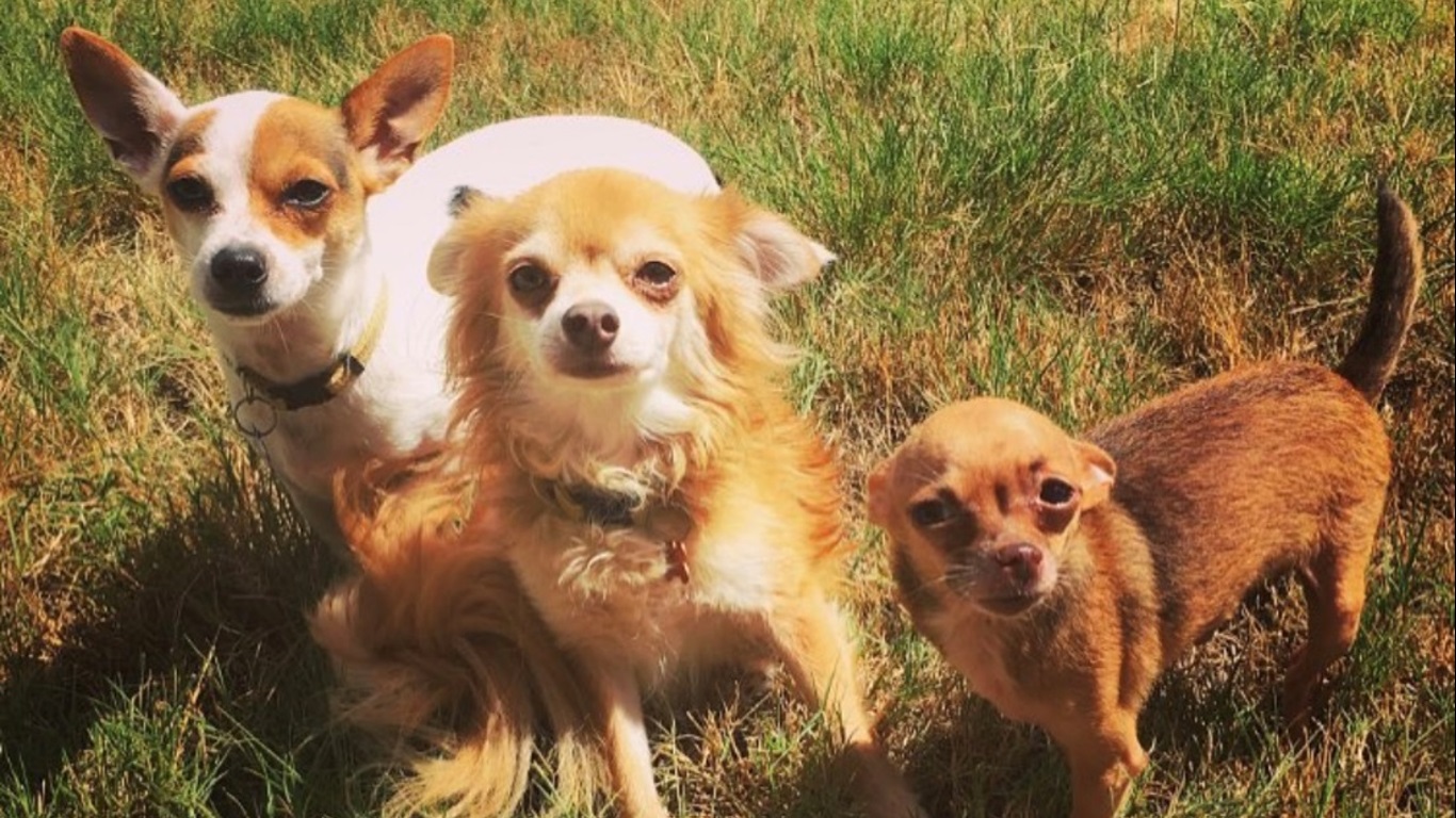 MyBOYS.jpg