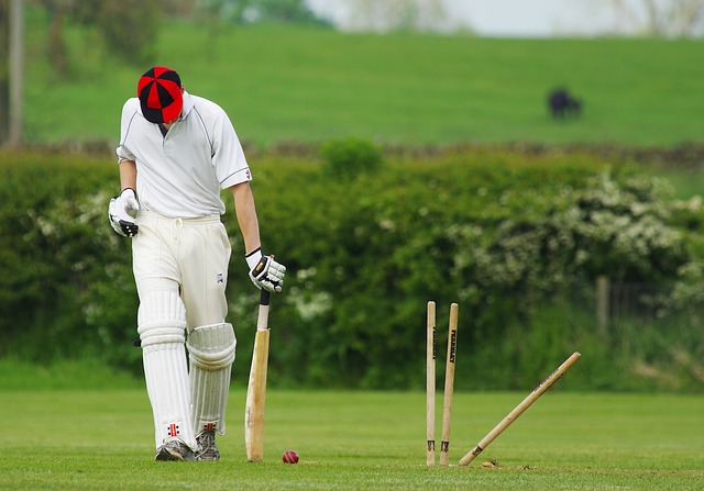 cricket-724616_640.jpg