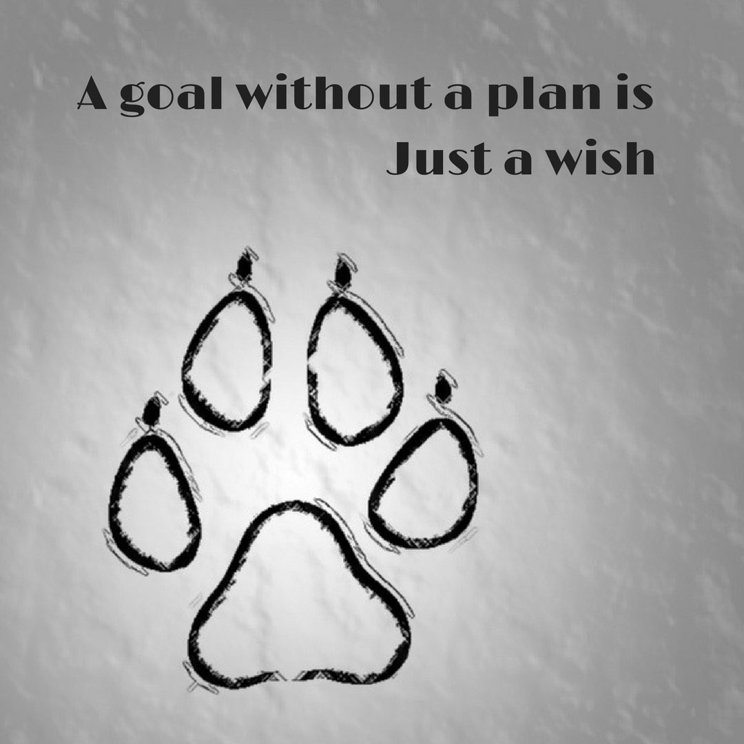 A goal without a plan is Just a wish.png