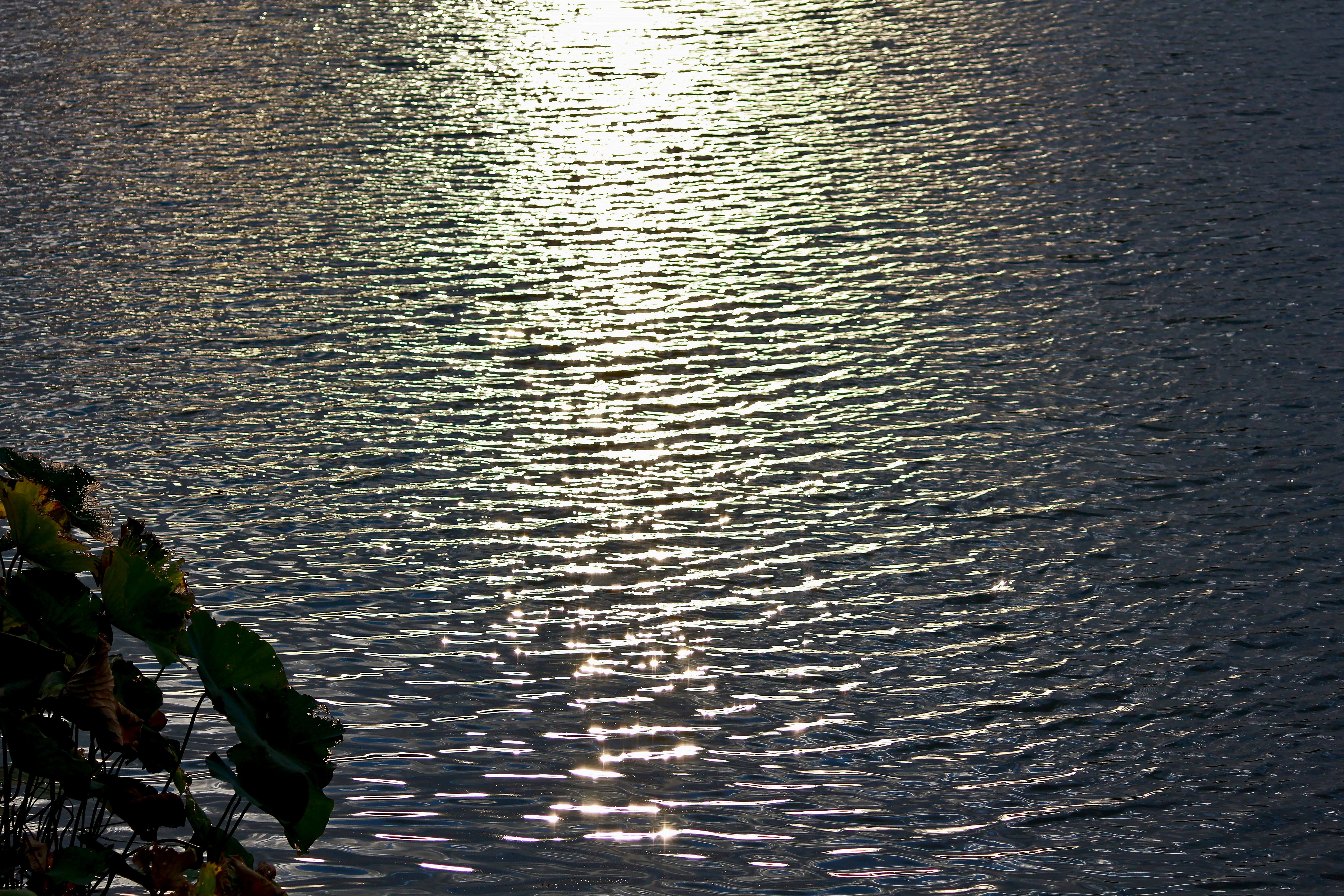 IMG_9563.JPG