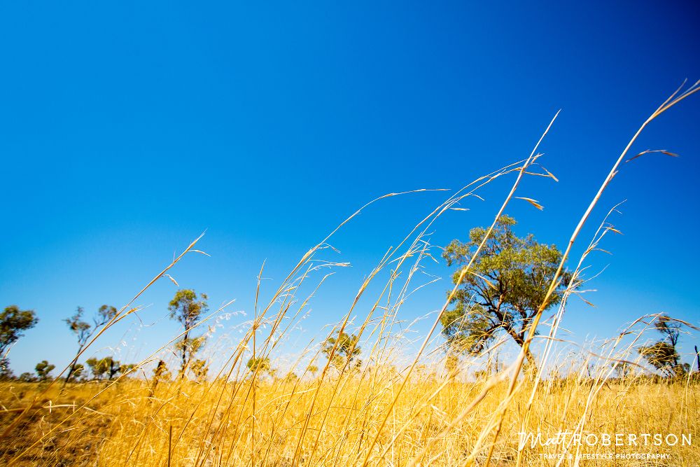 yellowblue_v2ULURU_1000pxblog.jpg