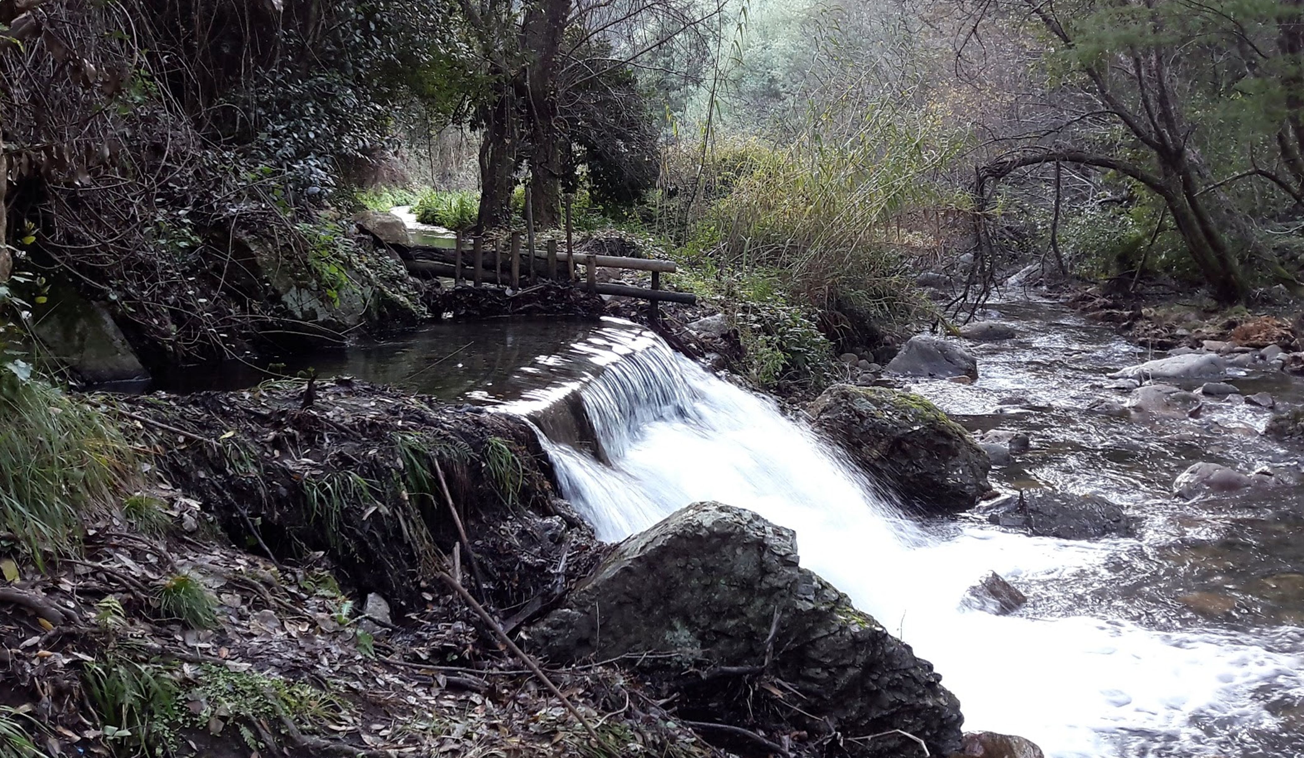 Ferreira.midia.perfil_Nature_wide.jpg