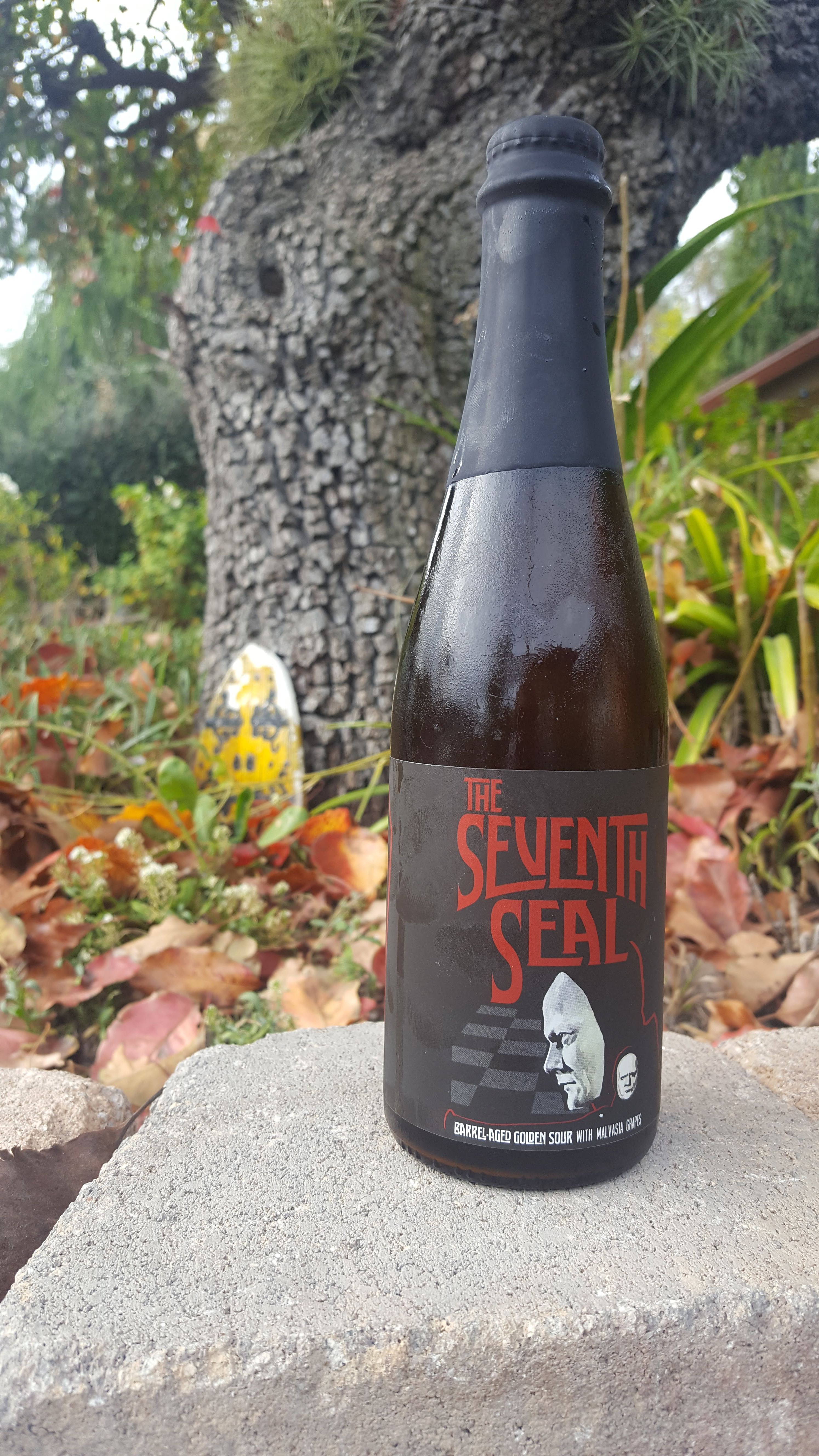 seventh seal.jpg