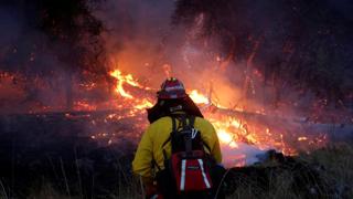 firefighters-battle-california-wildfire-near-santa-rosa_7bb70e04-bd28-11e7-922e-12a52d781256.jpg