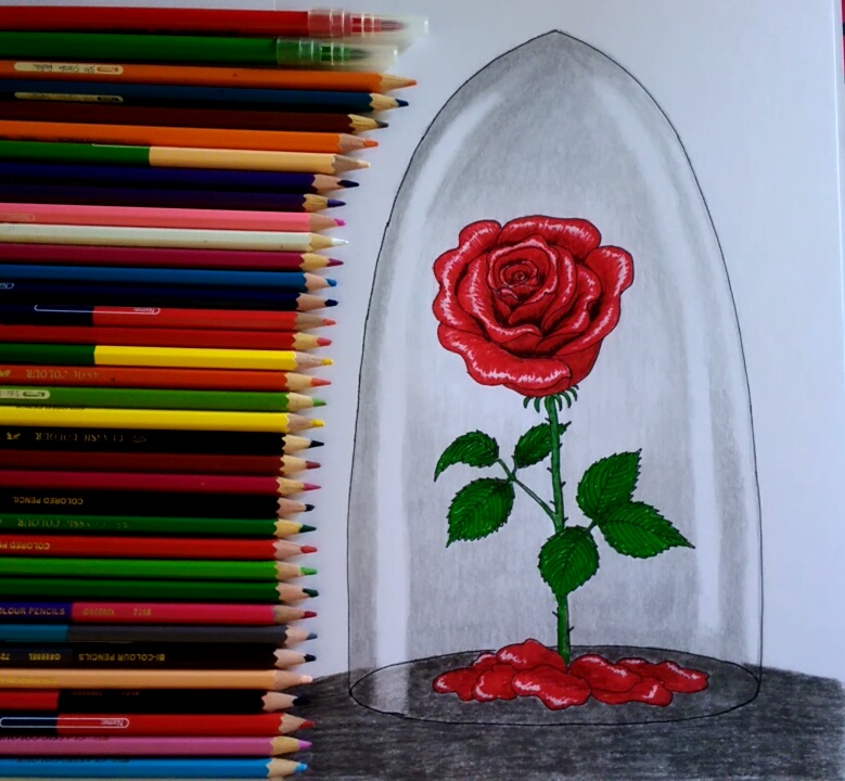 √完了しました！ Beauty And The Beast Rose In Glass Drawing 121951-Why Is The ...