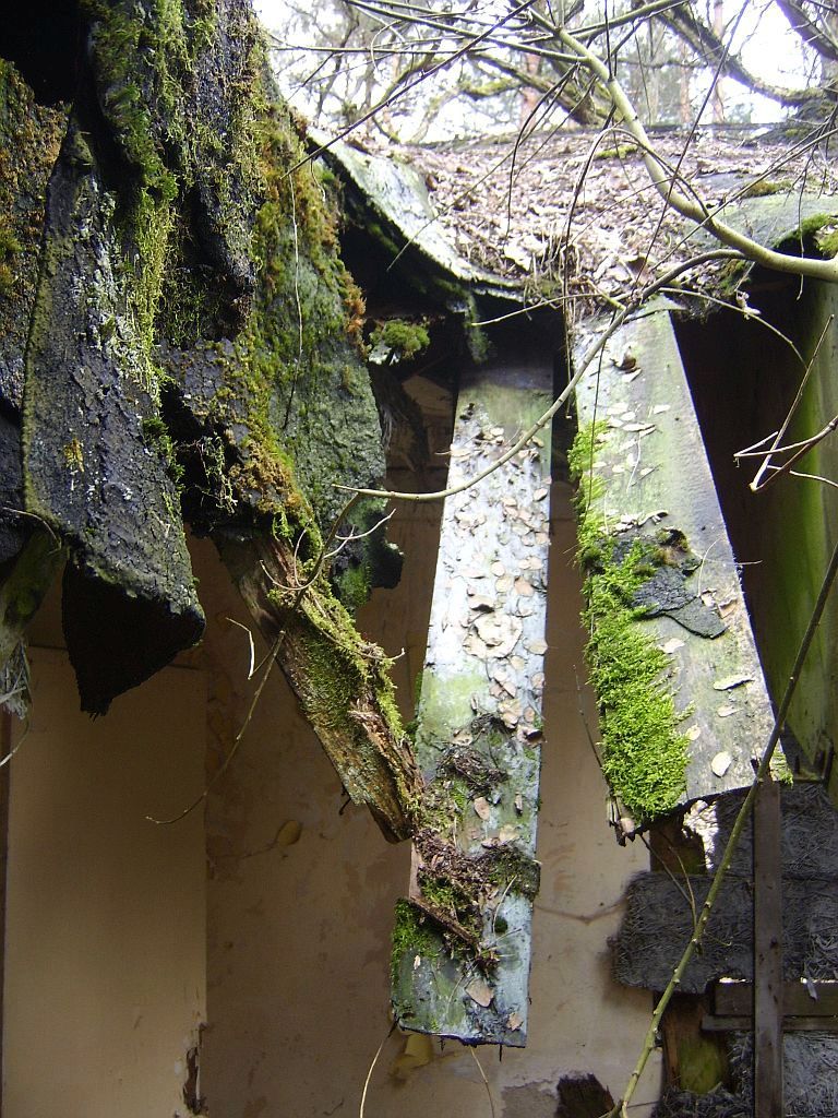 STA70453.jpg