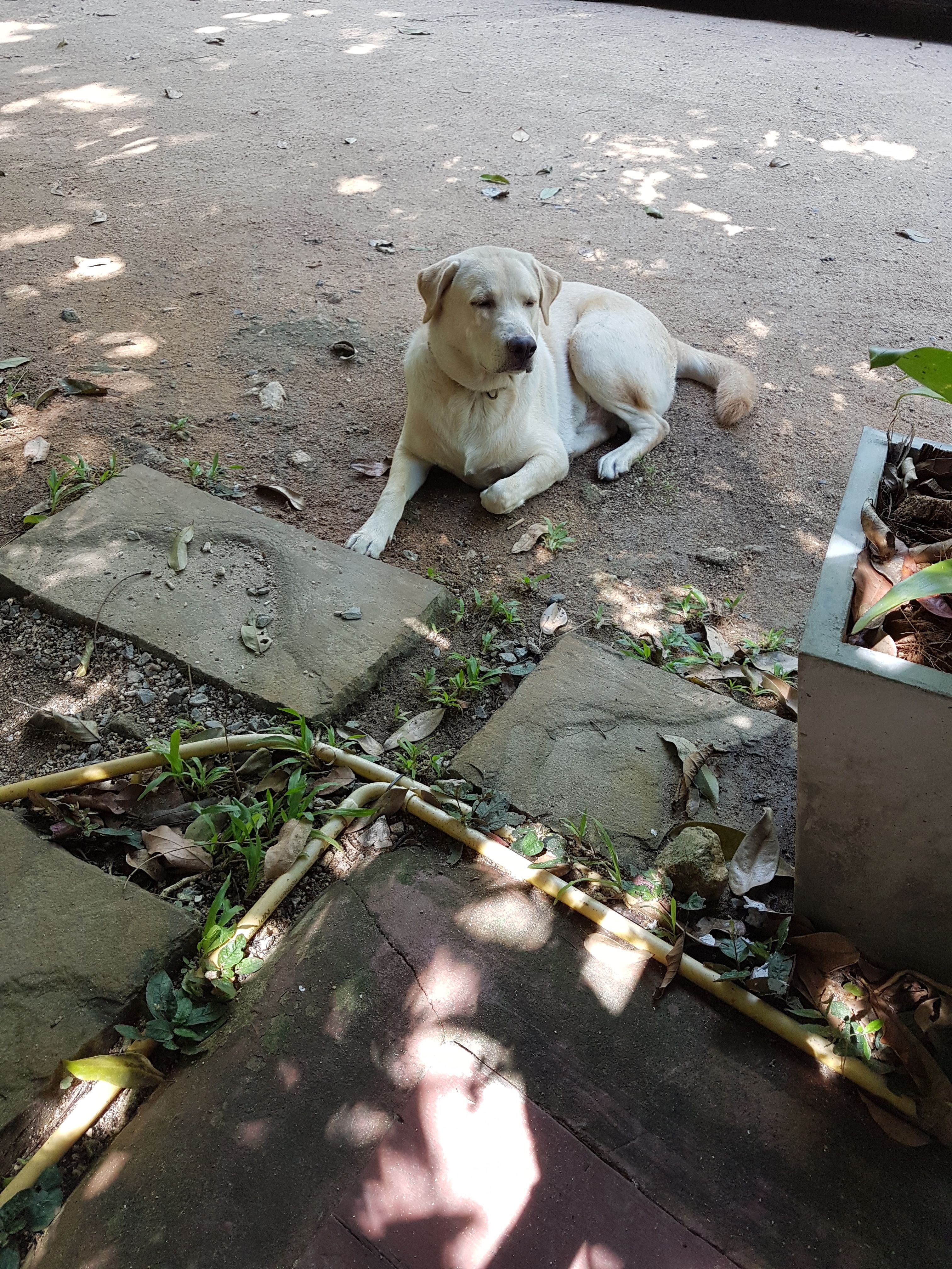20170906_144028.jpg