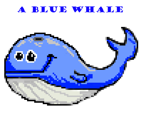 ABlueWhale.png