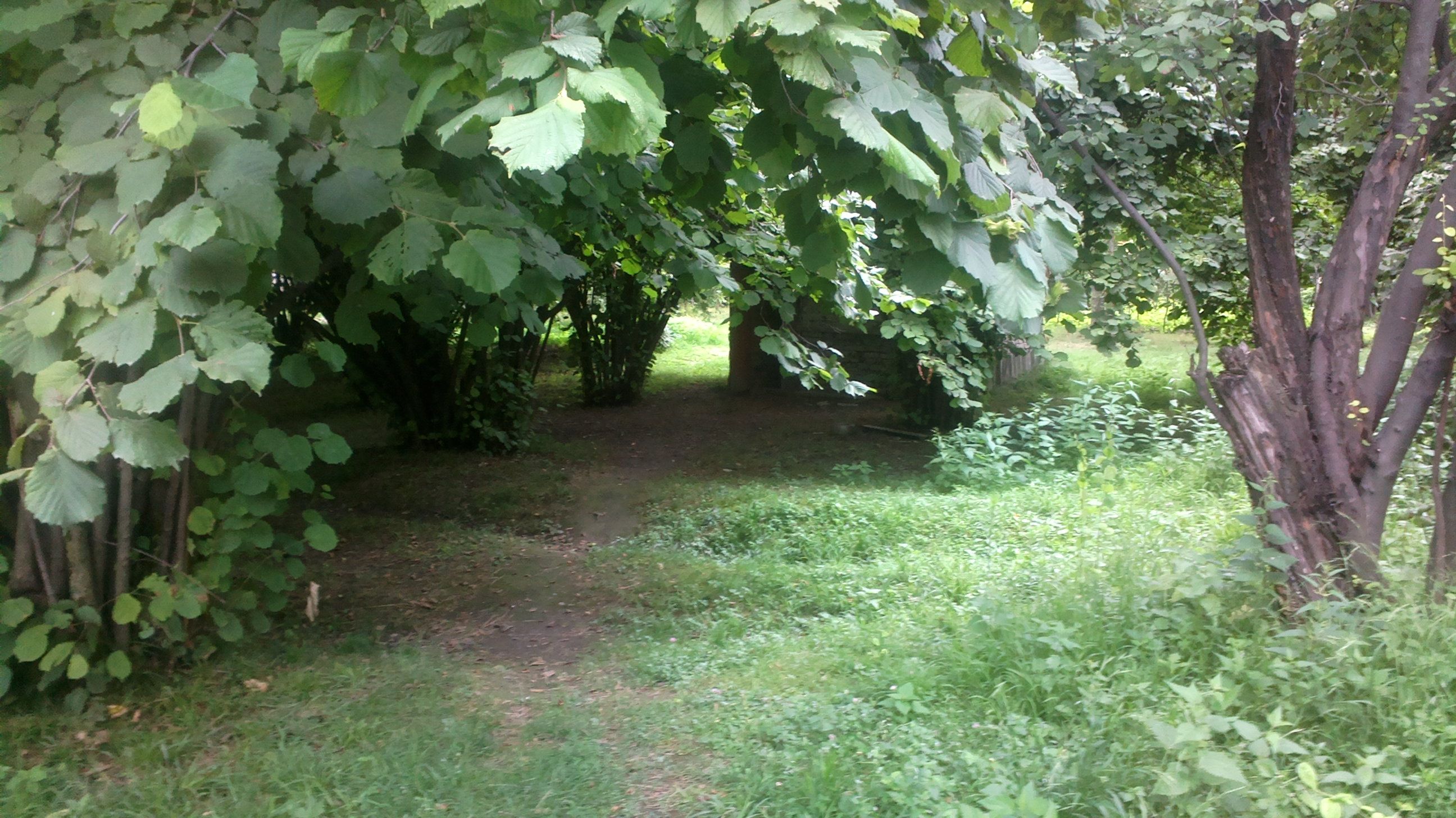2016-07-26-0567.jpg