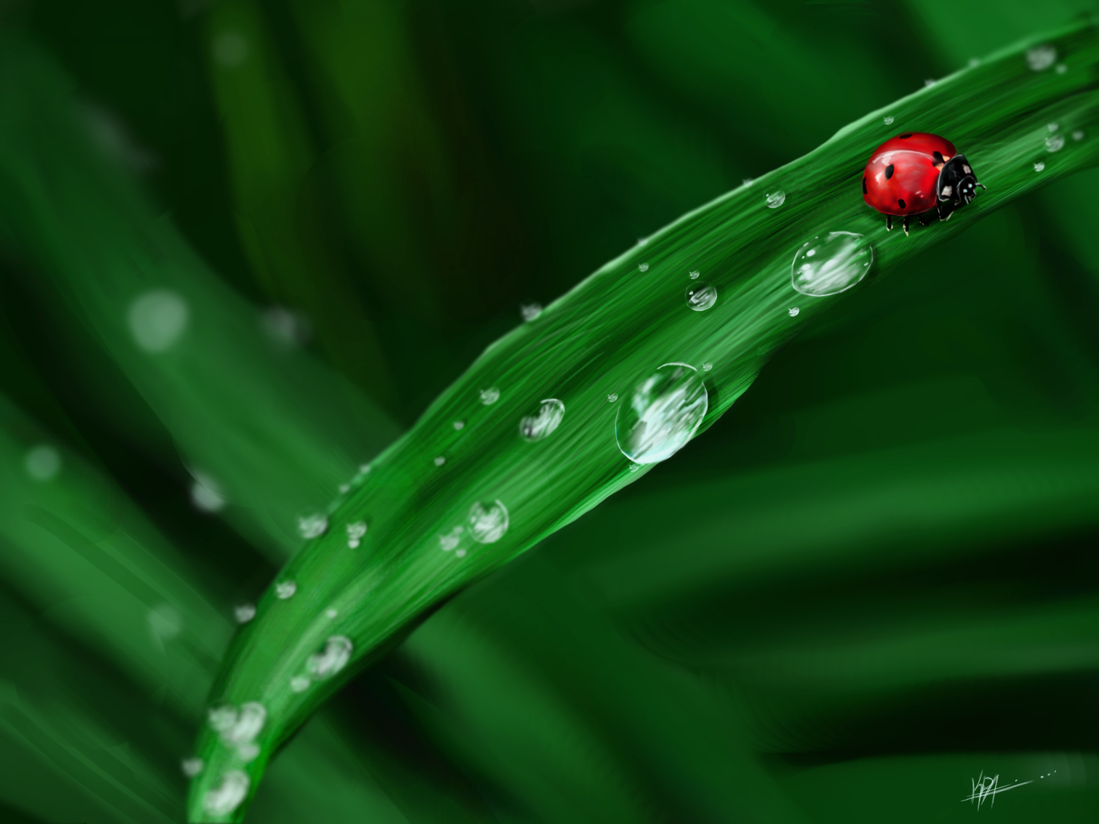 dew drops and a bug.png