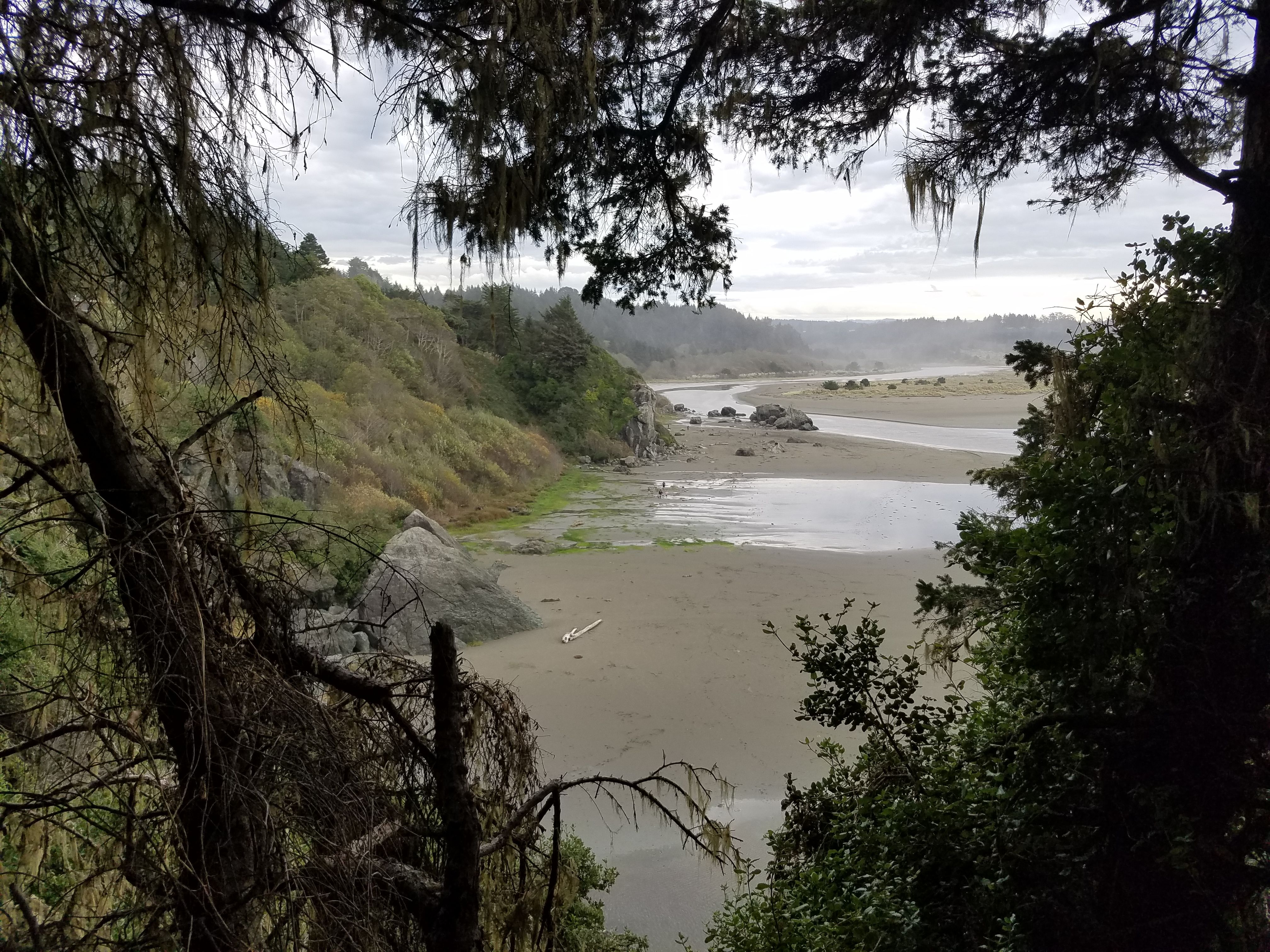 Overlooking the beach. It looked like someone had had a silent rave in the forest behind us. Arcata, CA