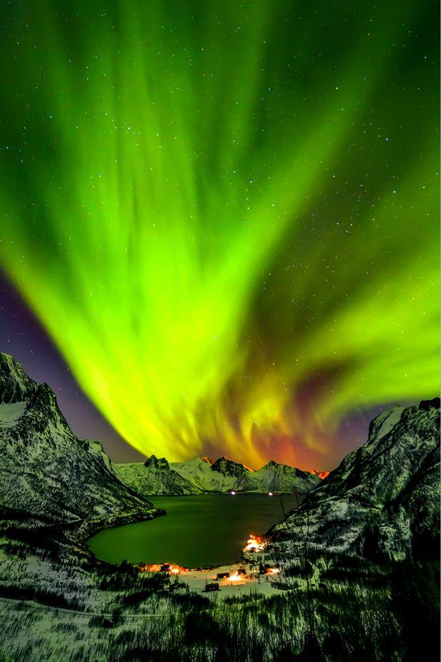 Boreal Aurora Senja Island Norway Steemit