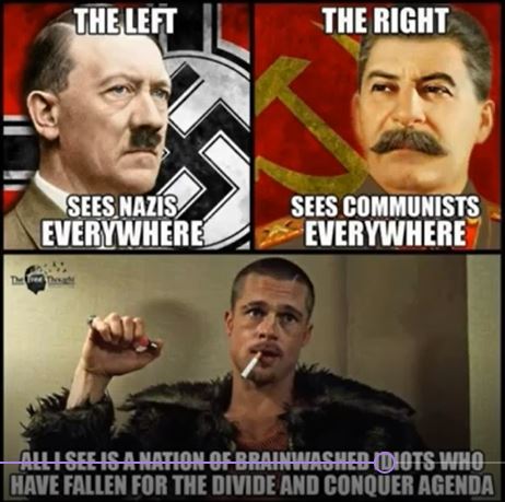 left - right brainwashed idiots.JPG