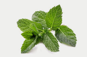 পুদিনা-পাতা-300x199.jpg