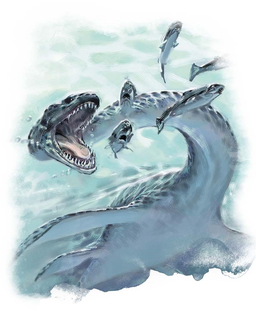 plesiosaurus.jpg