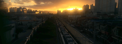 IMG_4753.gif