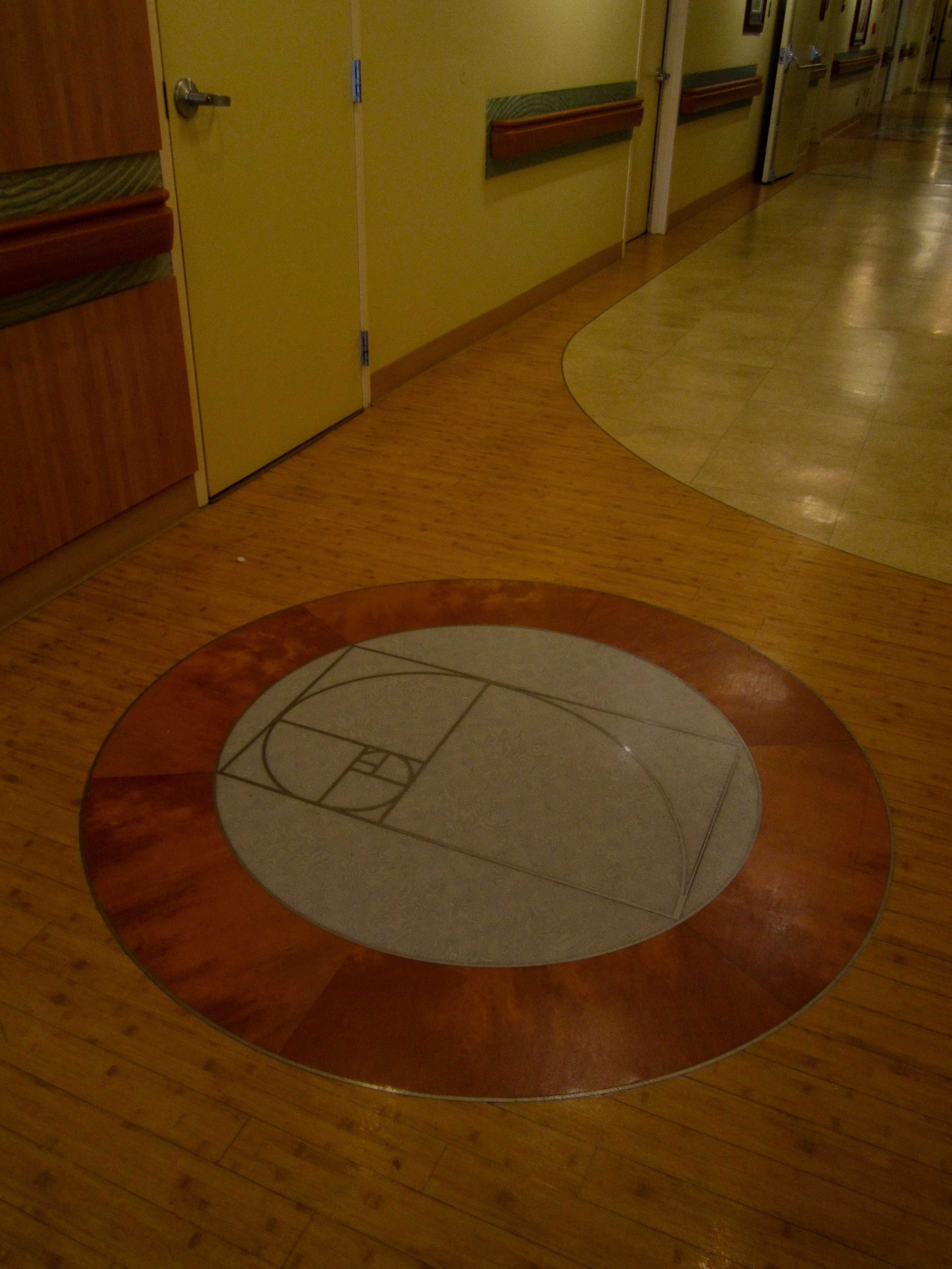 Coronado Hospital Floor.jpg