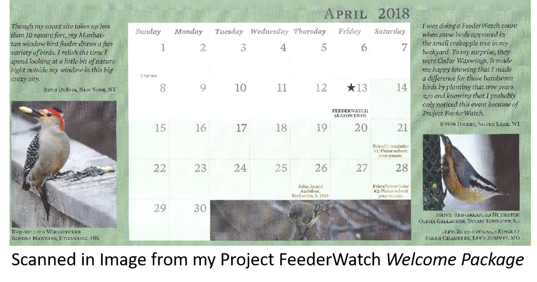 project feederwatch april 2018.png