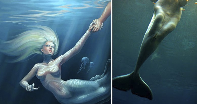 Beluga whales, are they mermaids? 