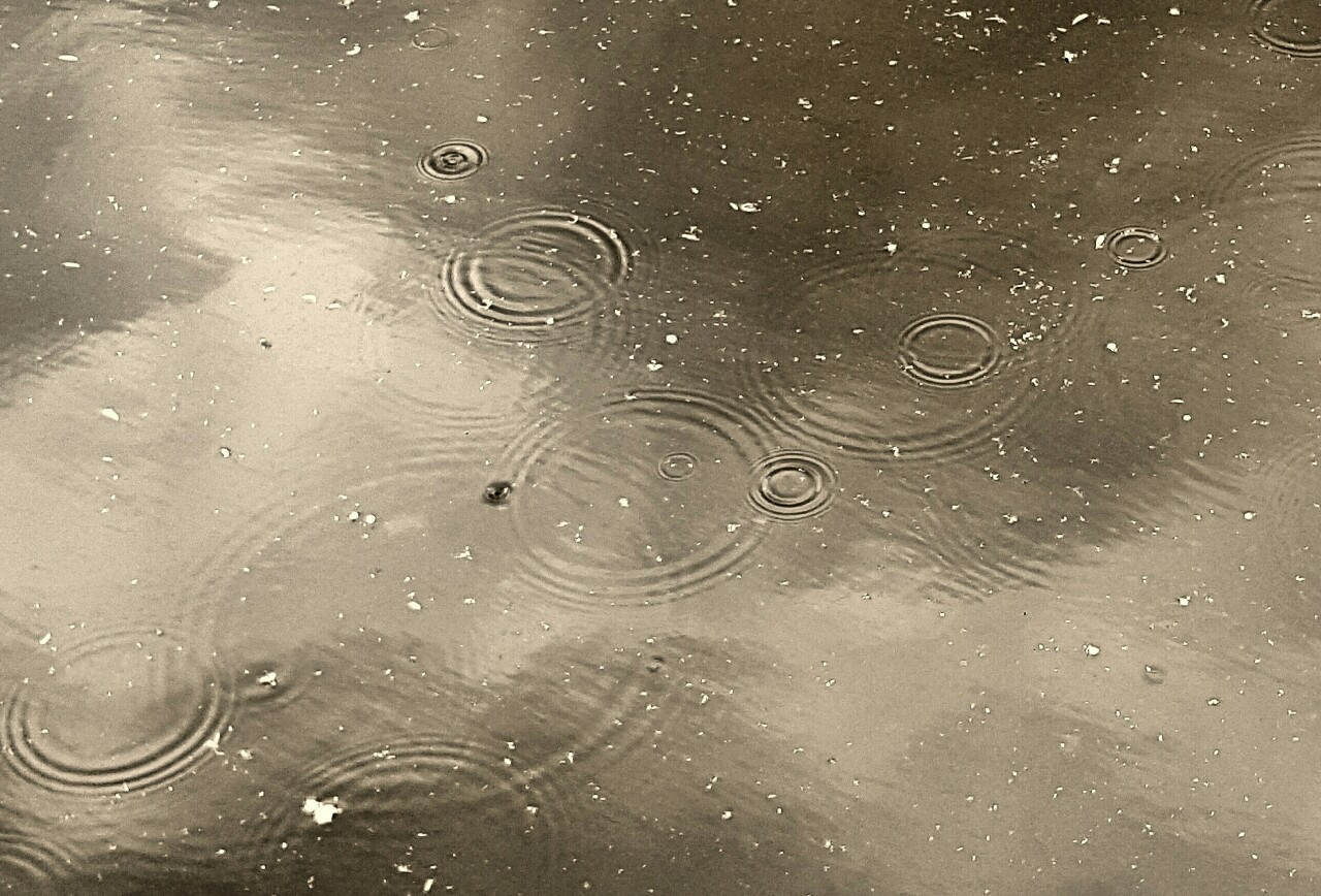 144720527511 - ripples in rain.jpg