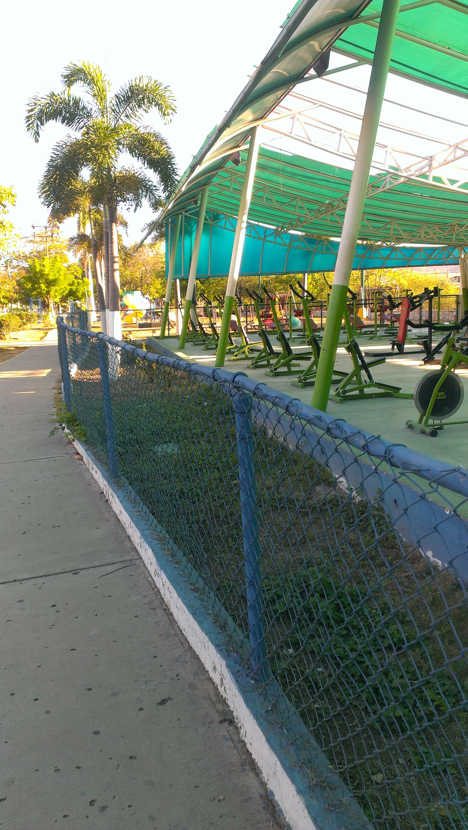 IMAG0307.jpg