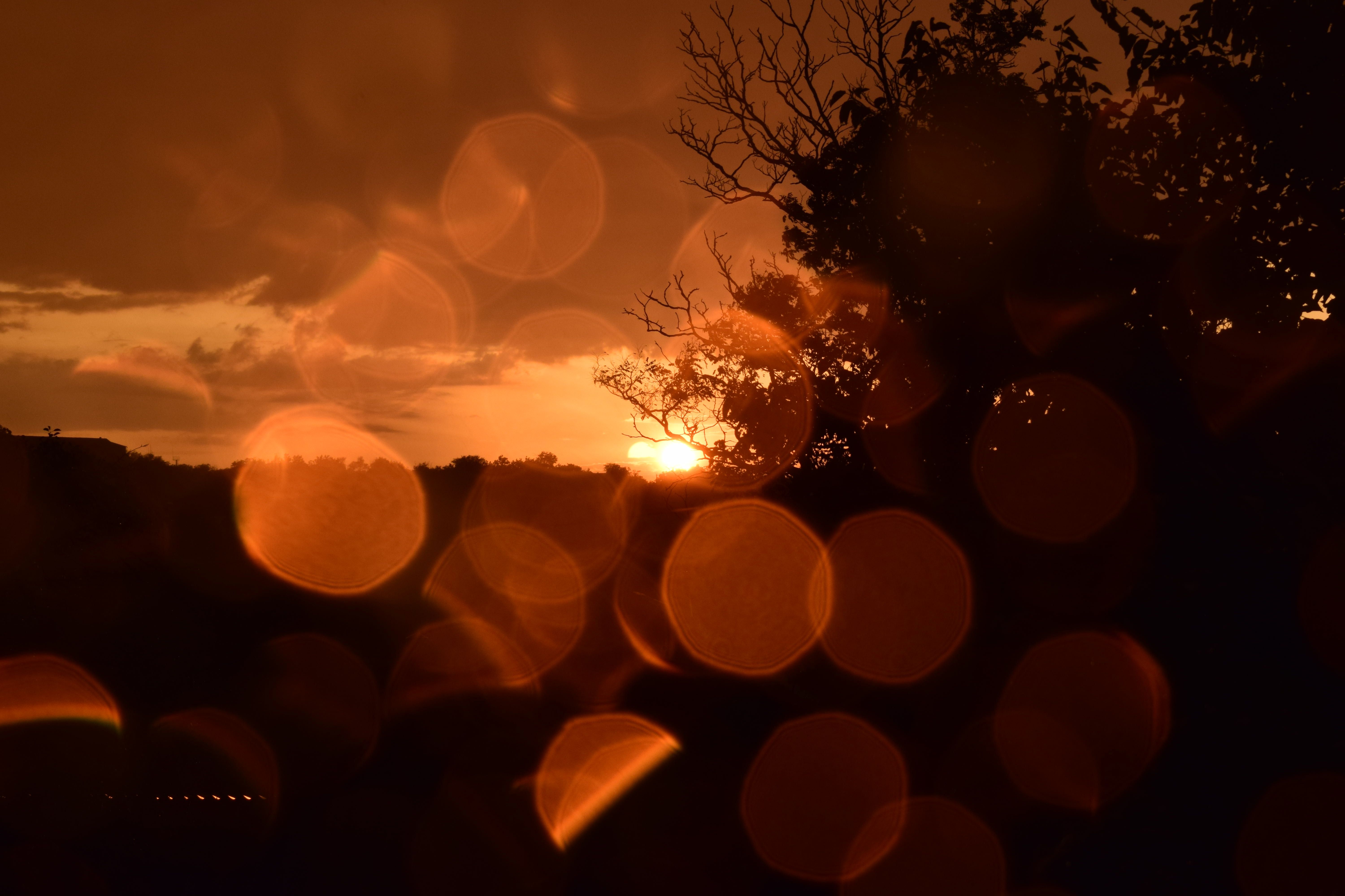 DSC_0498.jpg