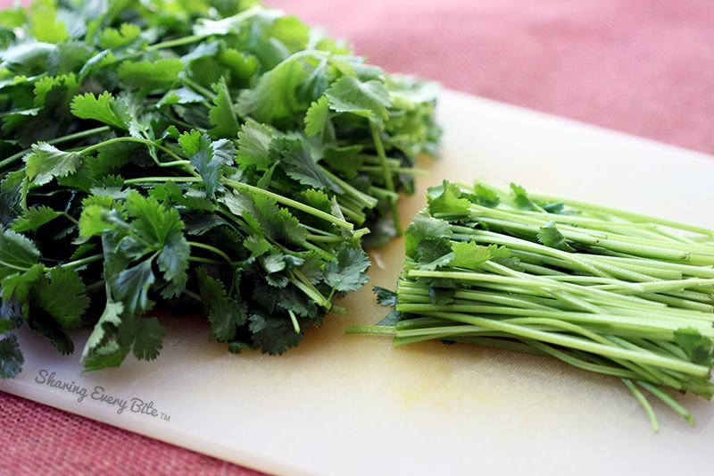 SharingEveryBite|Cilantro.jpg