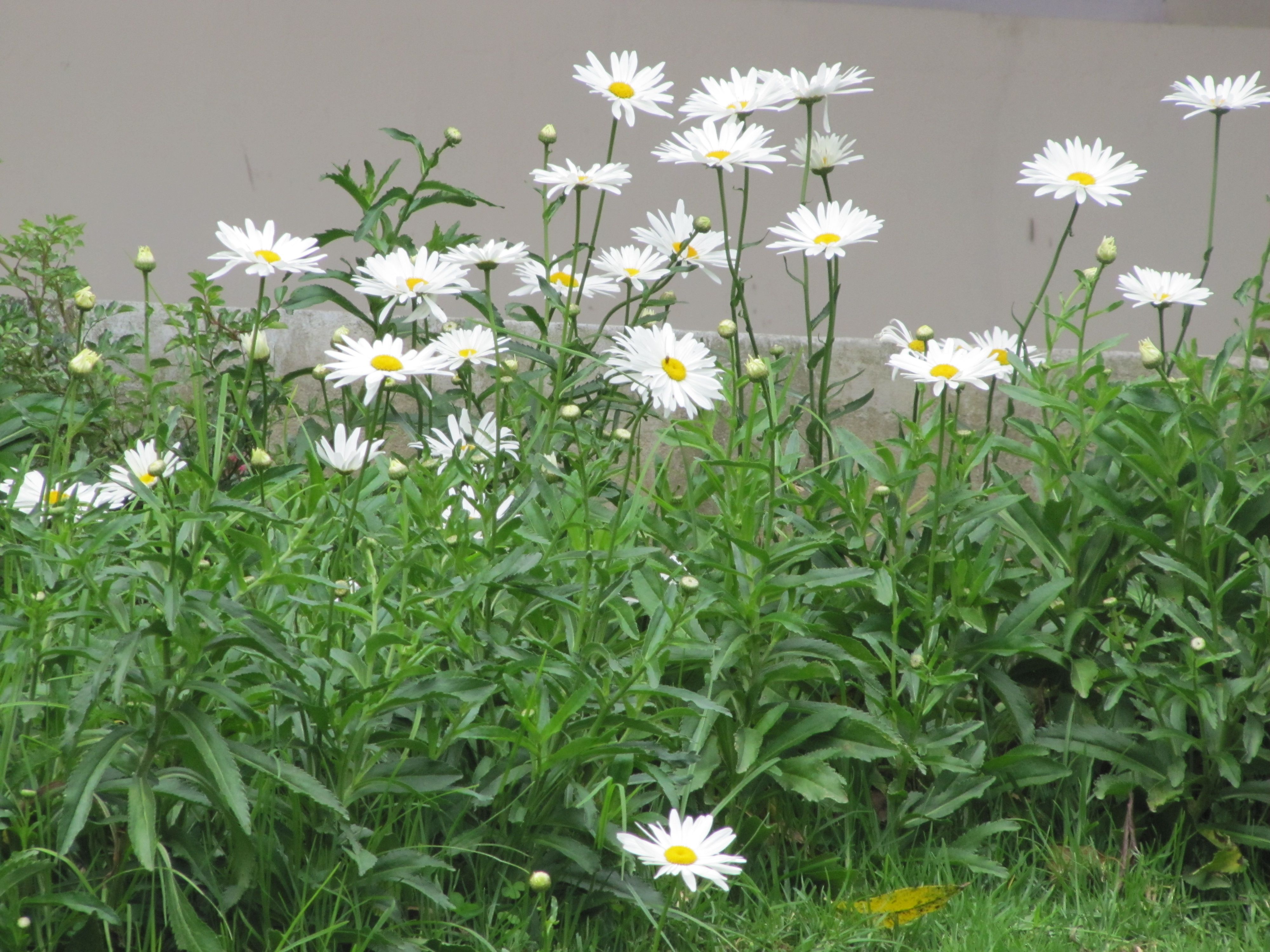 south trip 2013 618.jpg