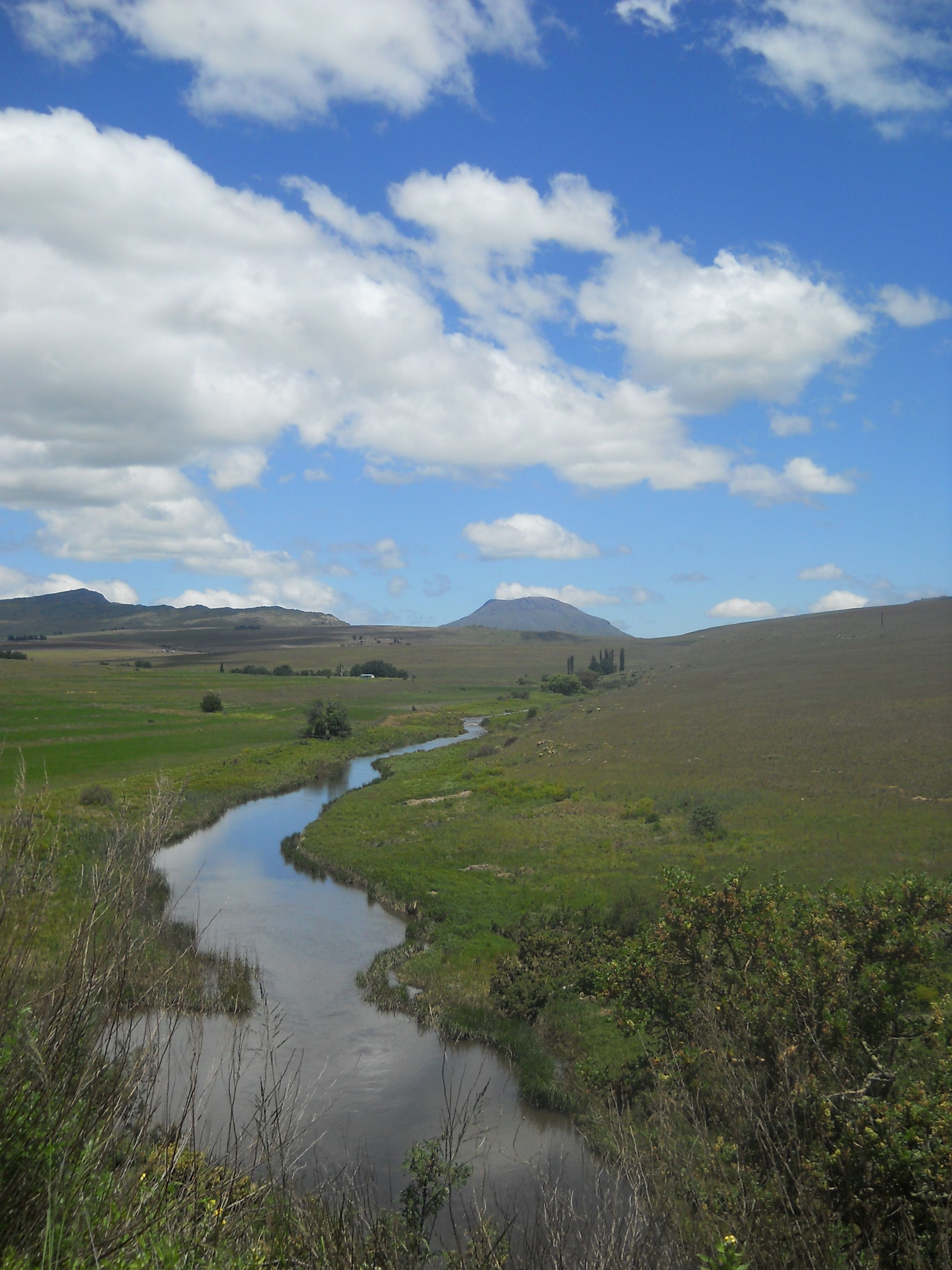 ribbon of river.JPG