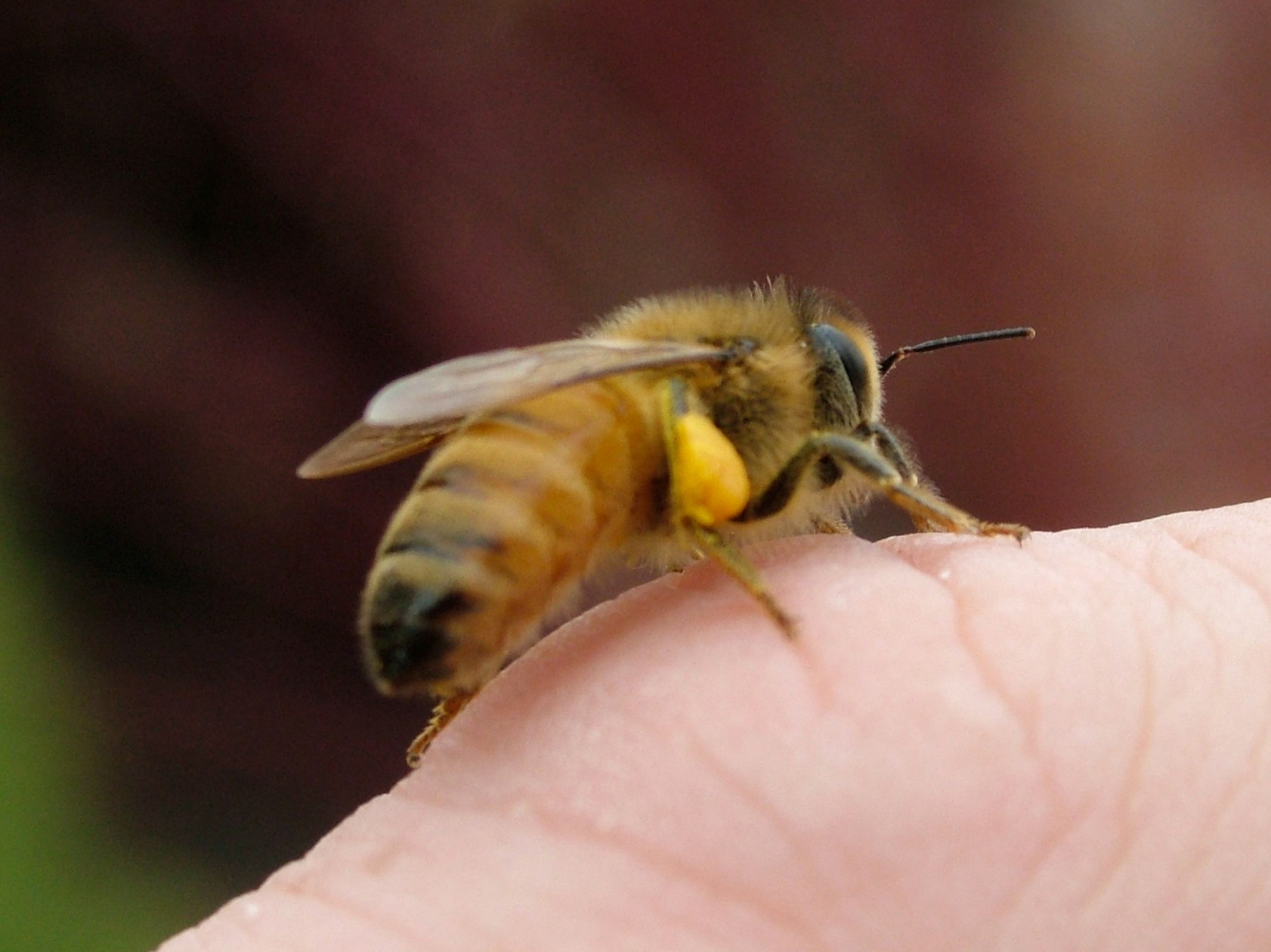 DSCF6324.JPG