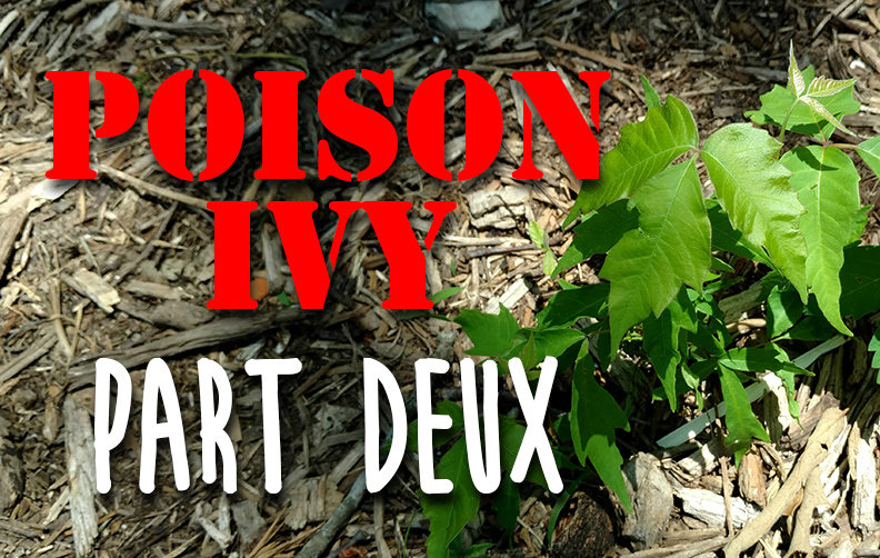 poison-ivy-part-deux.jpg