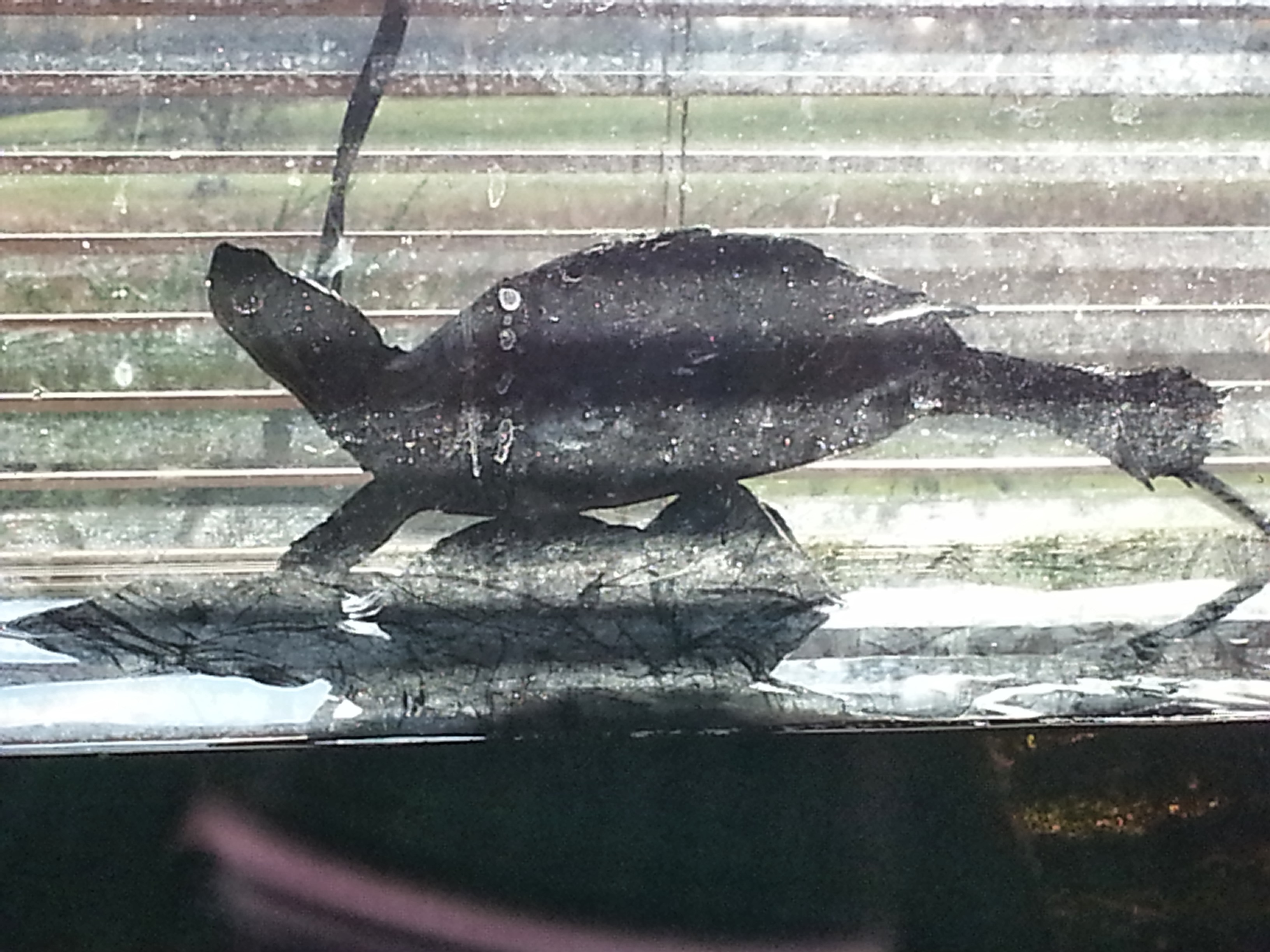 20131024_162905.jpg