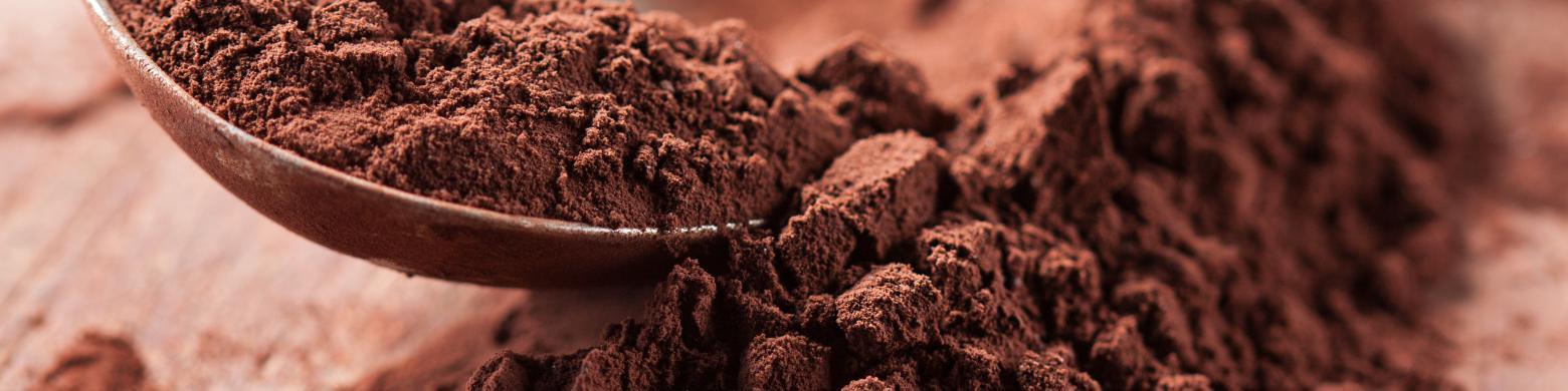 chocolate-powder.jpg